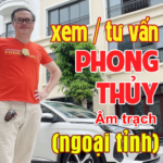 Tư vấn phong thủy âm trạch (điểm huyệt, lập hướng, phân kim)