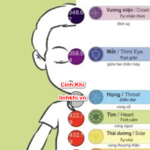 App Linh khí (đo địa khí, luân xa – bản 1 lần)