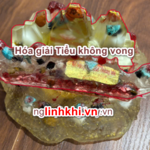 Di cung hóa giải tiểu không vong (combo)