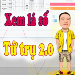 Tư vấn lá số tứ trụ (đại vận, thiên phú, nghề nghiệp, cải vận)