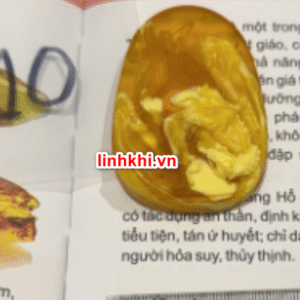 Chung Quỳ hổ phách tự nhiên (trừ tà chiêu tài) – phù hợp người cần Thổ / Kim #10