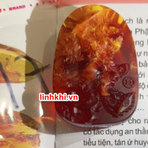 Chung Quỳ hổ phách tự nhiên (trừ tà chiêu tài) – phù hợp người cần Hỏa / Thổ #17