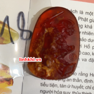 Chung Quỳ hổ phách tự nhiên (trừ tà chiêu tài) – phù hợp người cần Hỏa / Thổ #18