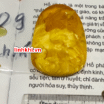 Chung Quỳ hổ phách tự nhiên (trừ tà chiêu tài) – phù hợp người cần Thổ / Kim #09
