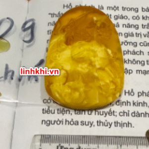 Chung Quỳ hổ phách tự nhiên (trừ tà chiêu tài) – phù hợp người cần Thổ / Kim #09