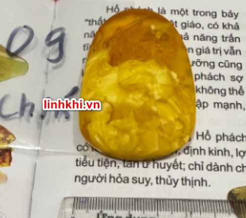 Chung Quỳ hổ phách tự nhiên (trừ tà chiêu tài) – phù hợp người cần Thổ / Kim #09