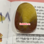 Chung Quỳ hổ phách tự nhiên (trừ tà chiêu tài) – phù hợp người cần Hỏa / Thổ #11