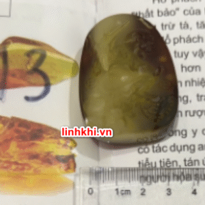 Chung Quỳ hổ phách tự nhiên (trừ tà chiêu tài) – phù hợp người cần Hỏa / Thổ / Kim #13