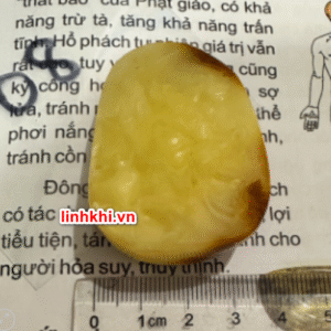 Chung Quỳ hổ phách tự nhiên (trừ tà chiêu tài) – phù hợp người cần Hỏa / Thổ / Kim #08 (có chứng thư)