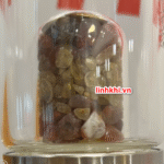 Bình nước thủy tinh có ngăn riêng đựng đá (hỗ trợ tăng sức khỏe)