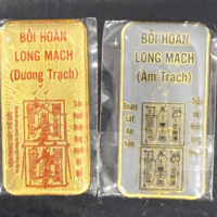 Bồi hoàn long mạch phù